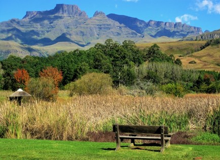 Bench